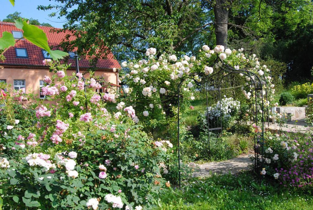 Feriendomizil Alter Garten Temmen-Ringenwalde Exterior photo